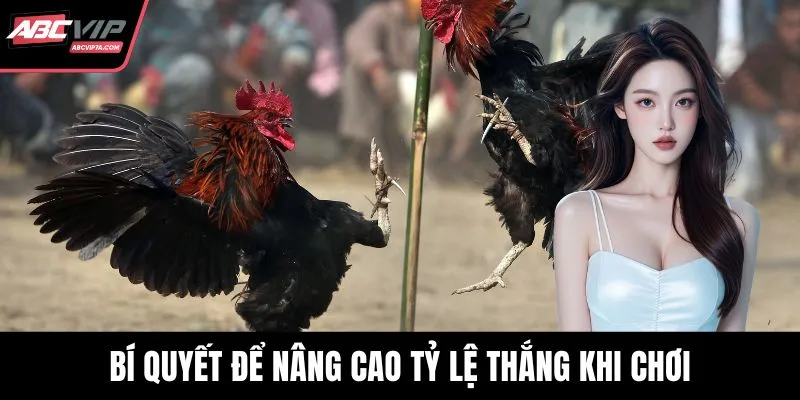 Bí quyết để nâng cao tỷ lệ thắng khi chơi