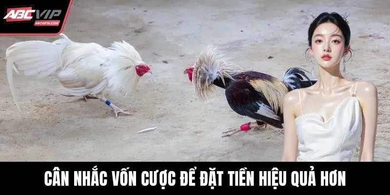 Cân nhắc vốn cược để đặt tiền hiệu quả hơn