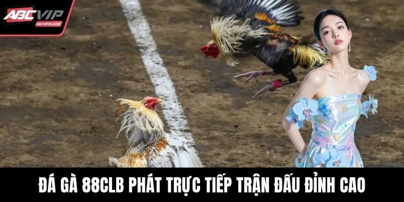 Đá gà 88CLB phát trực tiếp trận đấu đỉnh cao, chất lượng tốt