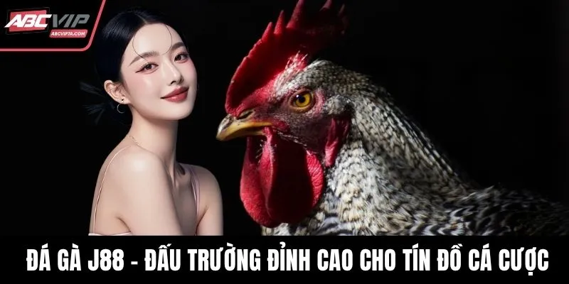 Đá gà J88