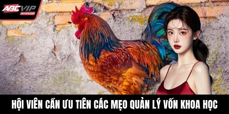 Hội viên cần ưu tiên các mẹo quản lý vốn khoa học